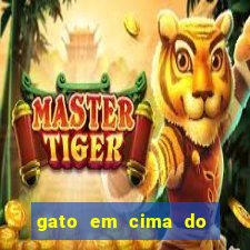 gato em cima do telhado significado espiritual